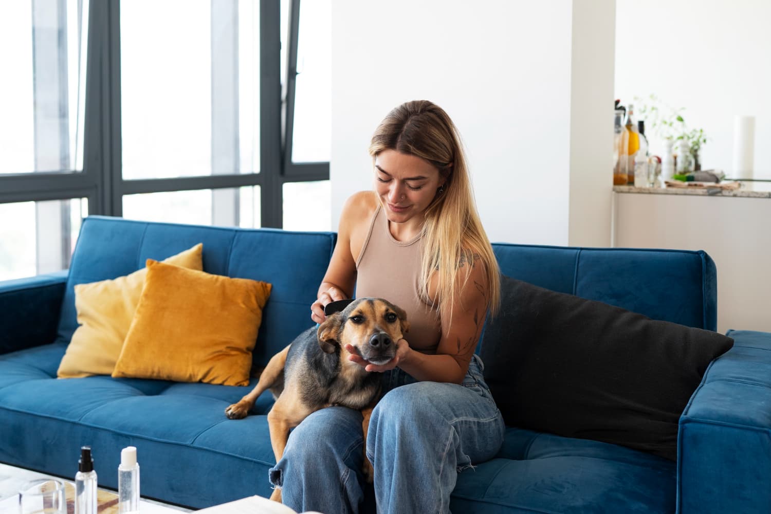 Pessoa acariciando cachorro em sofá, representando assistência para pets.